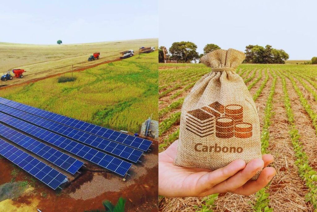 Energia Solar: 10 Dicas Essenciais para uma Instalação Bem-Sucedida. Projetos Sustentáveis e Rentáveis