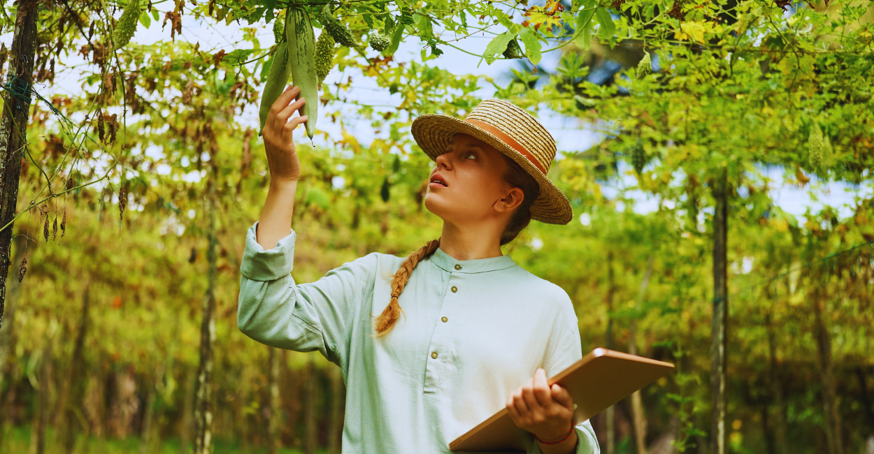 Agricultura de Precisão