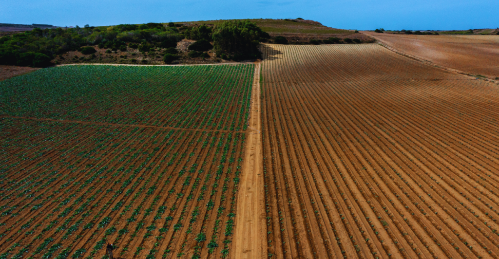Descubra como a Agricultura Regenerativa está evoluindo a indústria alimentícia e como ela pode ser a chave para um futuro sustentável e rentável. Leia agora!

