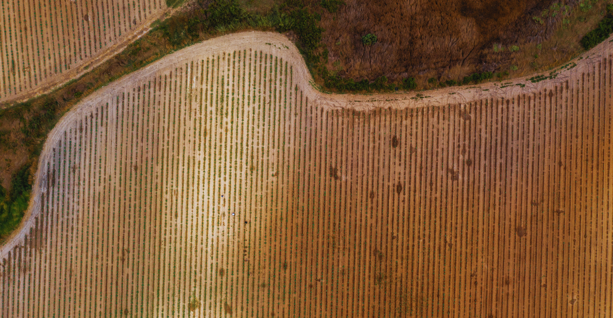 Descubra como a Agricultura Regenerativa está evoluindo a indústria alimentícia e como ela pode ser a chave para um futuro sustentável e rentável. Leia agora!