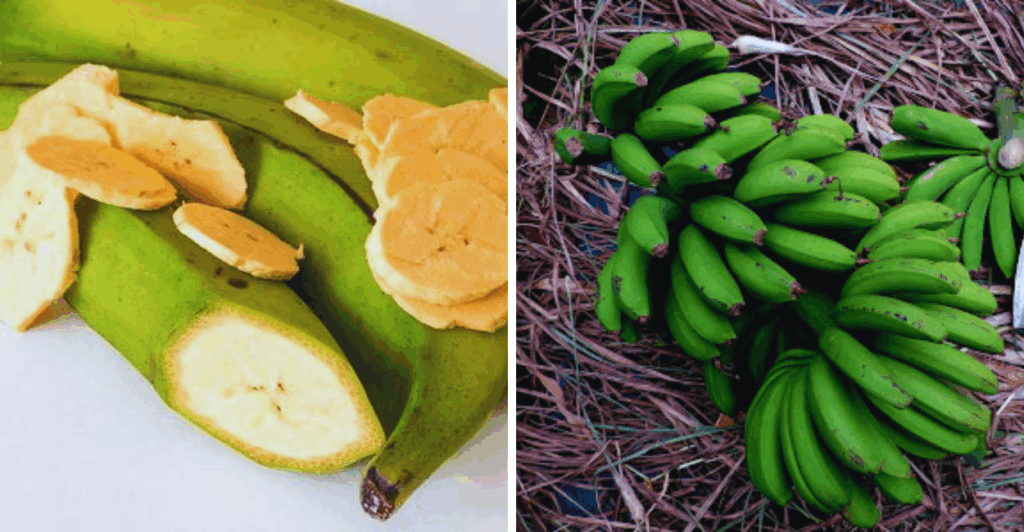 Descubra os efeitos de comer banana verde e como ela pode impactar sua saúde positivamente ou negativamente.